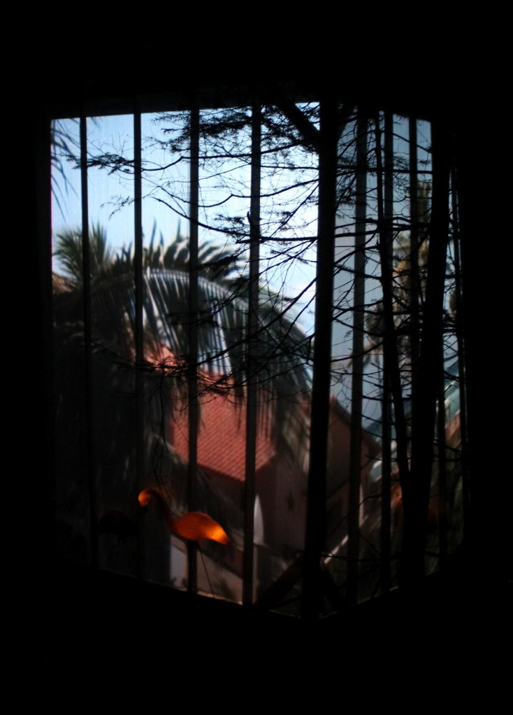 TheHungerAtHarvest-photo